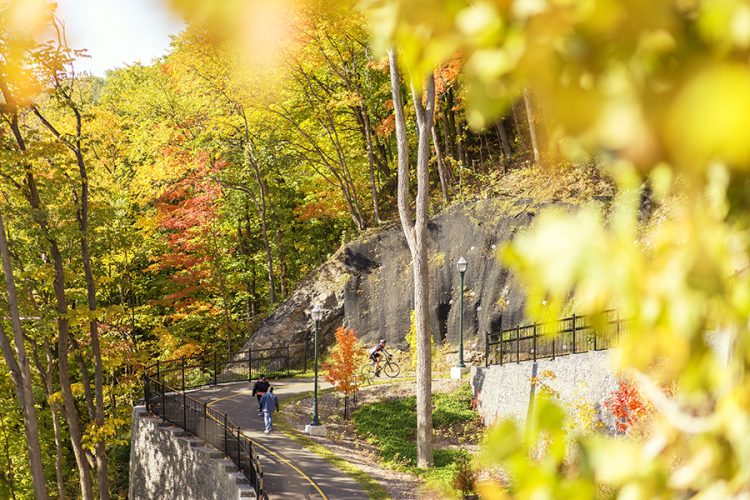 Pedestrians and a cyclist on a path on a sunny autumn day