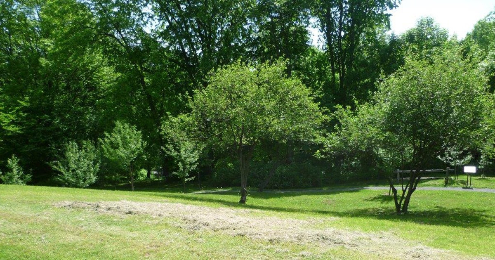 Louis-Hébert Orchard at Battlefields Park, surrounded by greenery, honoring the first farmer of New France. Verger Louis-Hébert au parc des Champs-de-Bataille, entouré de verdure, en hommage au premier agriculteur de la Nouvelle-France.
