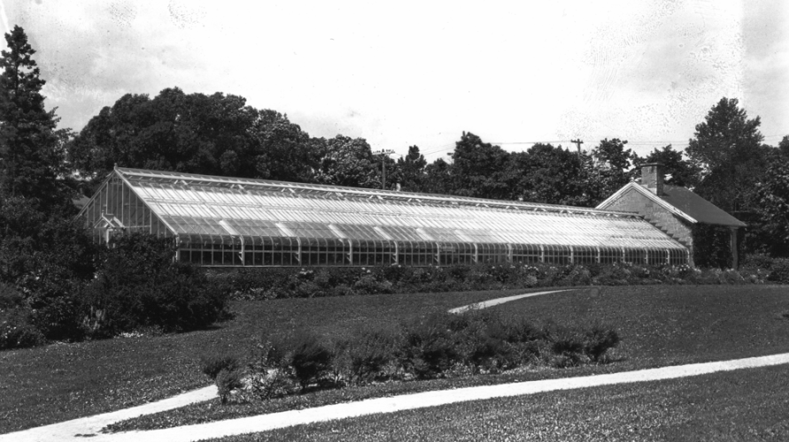Image d'archive de la CCBN de la serre des plaines d'Abraham en 1925, noir et blanc.